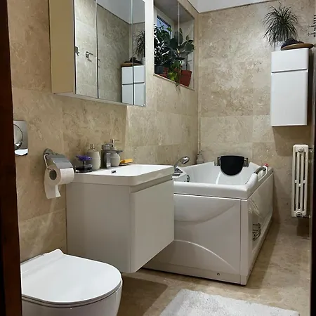 Vintage Luxury Old 아파트