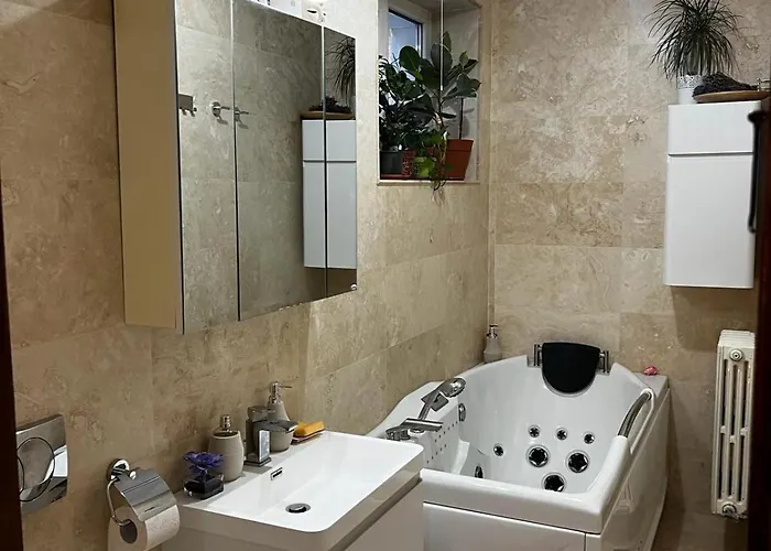 Vintage Luxury Old Apartament