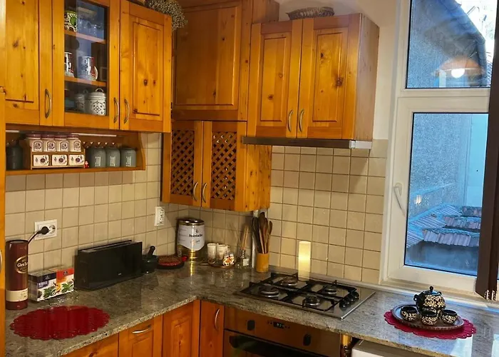 Apartament Vintage Luxury Old *